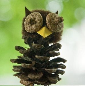 Meet your Posher, Tom